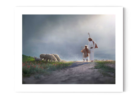 My Young Shepherd