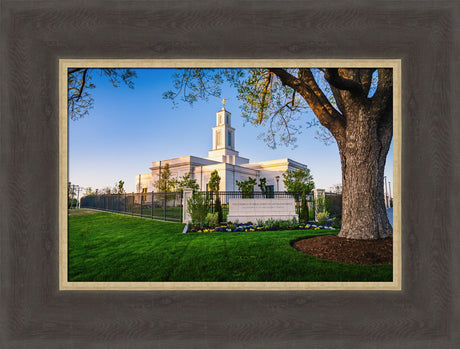 Oklahoma City Temple - Summer Evening