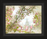 Idaho Falls Idaho Temple with pink Blossoms.