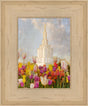 Idaho Falls Idaho Temple with purple, pink, and yellow tulips.
