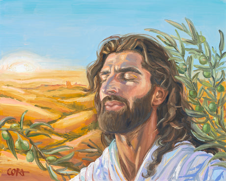 A Prayer for Peace