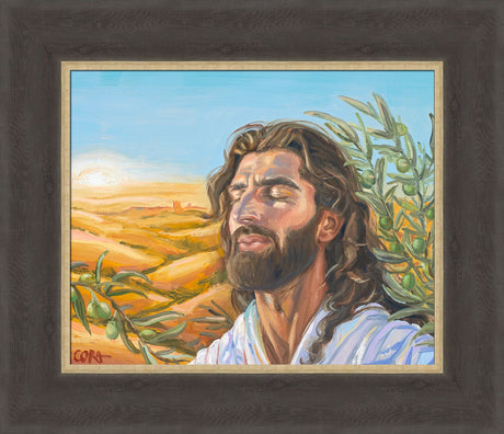 A Prayer for Peace