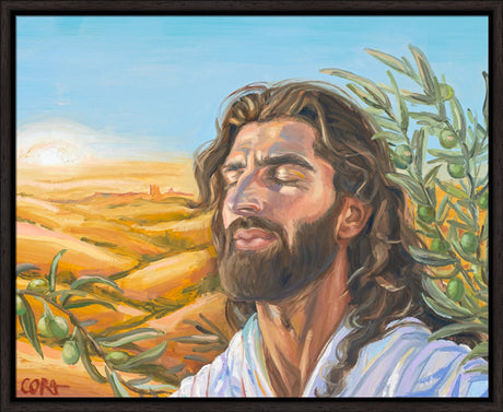 A Prayer for Peace
