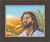 A Prayer for Peace