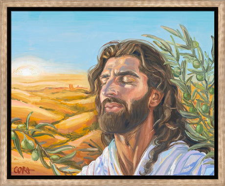 A Prayer for Peace