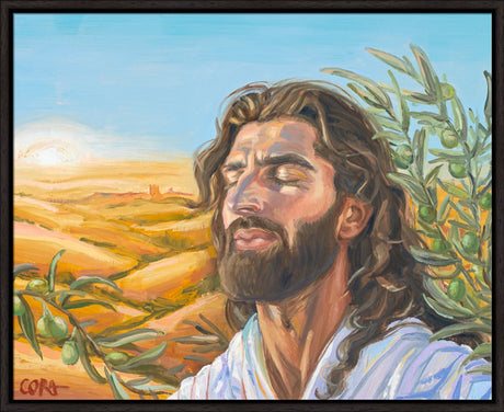 A Prayer for Peace