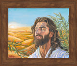 A Prayer for Peace