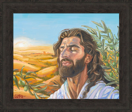 A Prayer for Peace