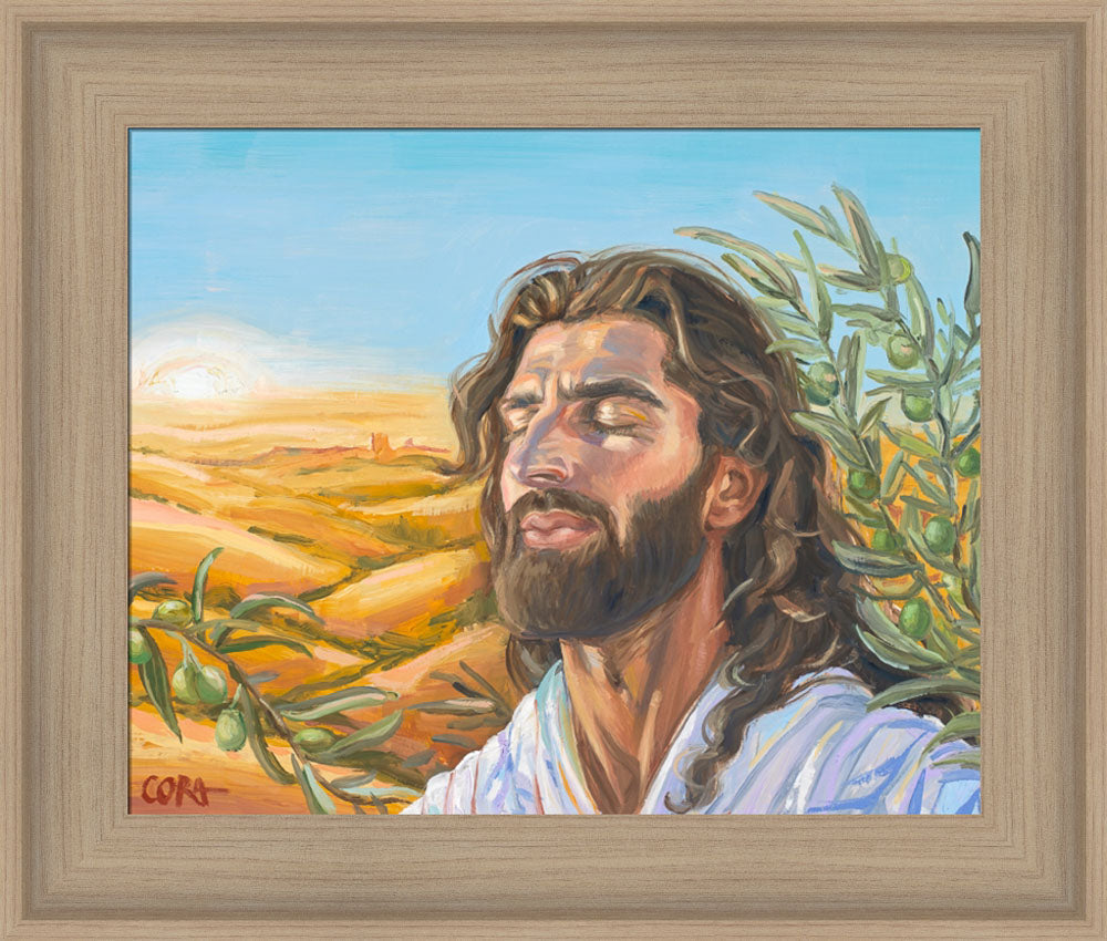 A Prayer for Peace