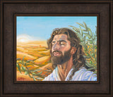 A Prayer for Peace