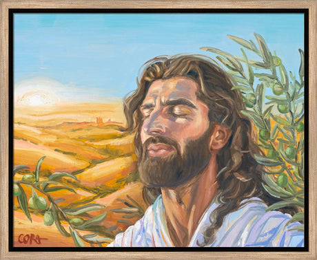 A Prayer for Peace