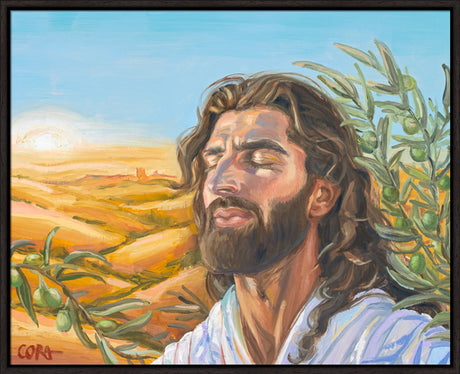 A Prayer for Peace