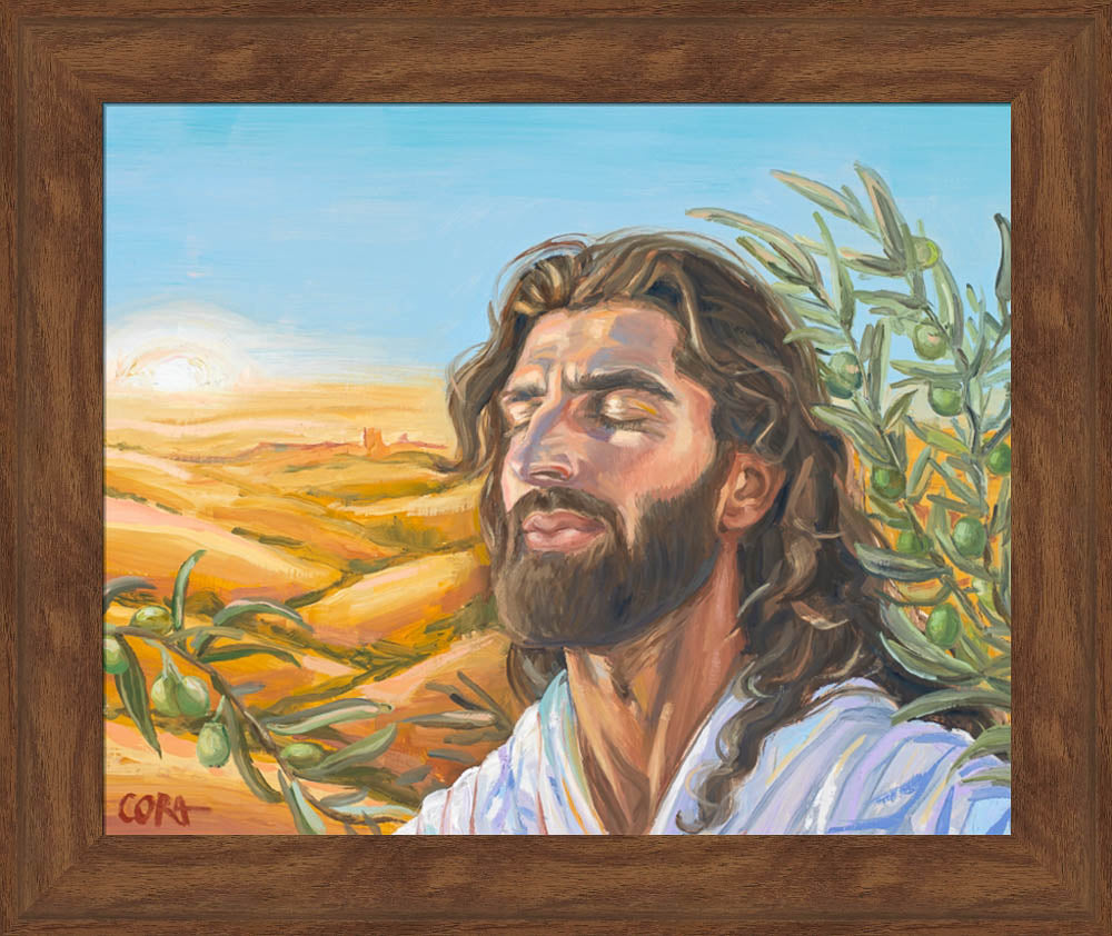 A Prayer for Peace