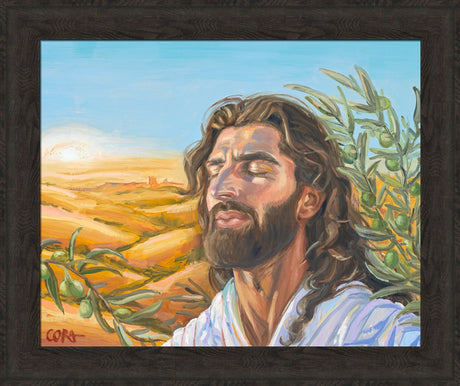 A Prayer for Peace