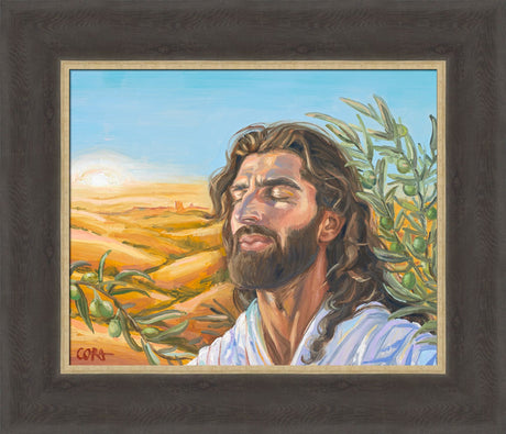 A Prayer for Peace