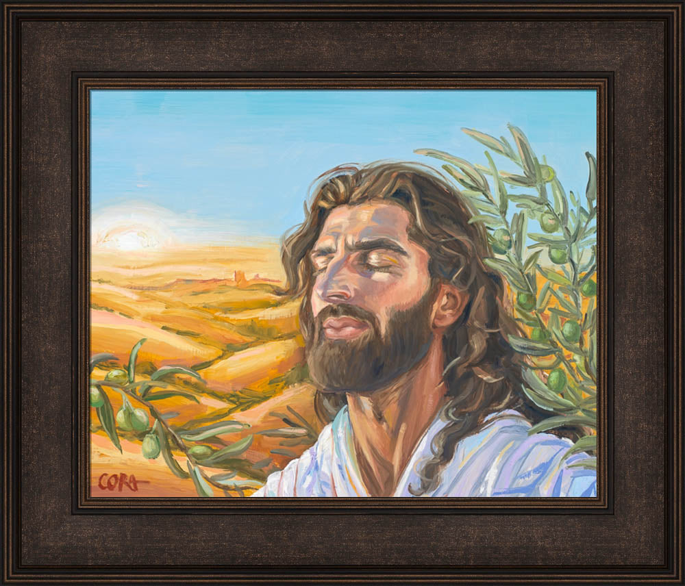 A Prayer for Peace