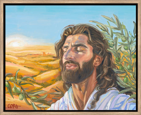 A Prayer for Peace