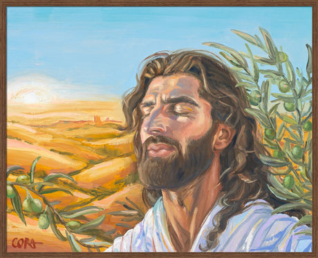 A Prayer for Peace