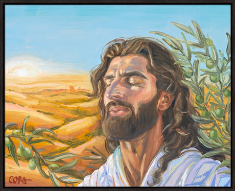 A Prayer for Peace