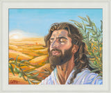 A Prayer for Peace