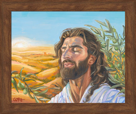 A Prayer for Peace