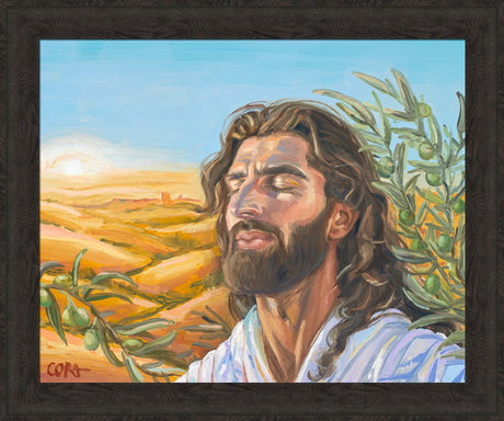 A Prayer for Peace