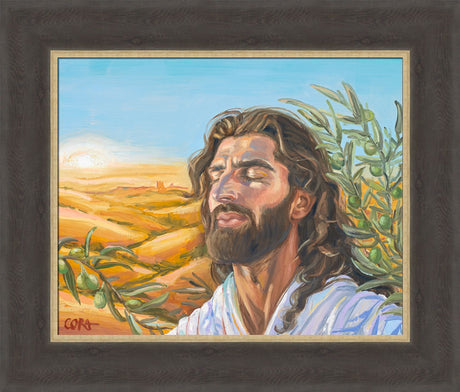 A Prayer for Peace