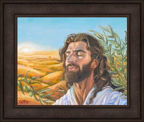 A Prayer for Peace