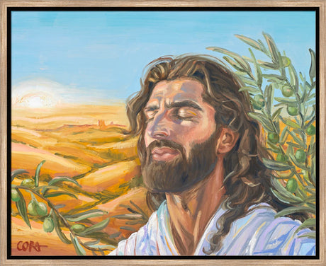 A Prayer for Peace