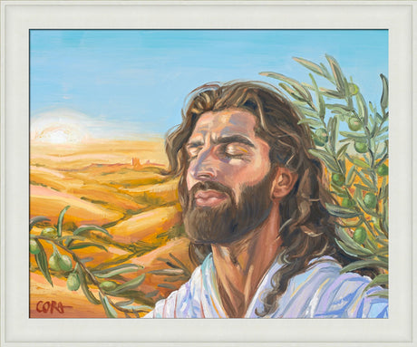 A Prayer for Peace