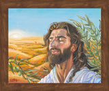 A Prayer for Peace