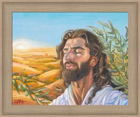 A Prayer for Peace