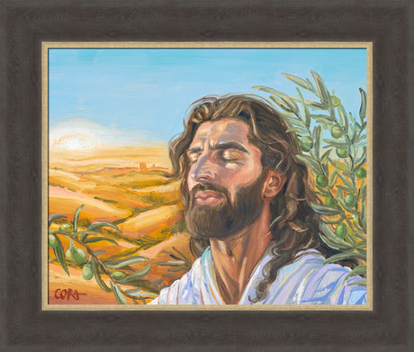A Prayer for Peace