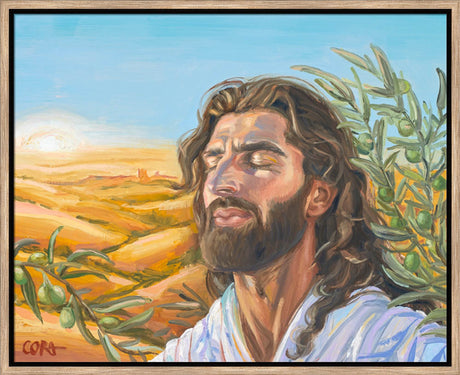A Prayer for Peace