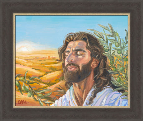 A Prayer for Peace