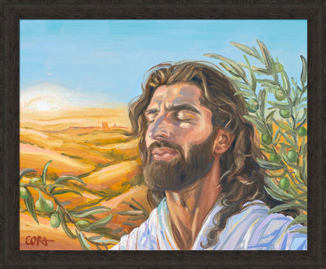 A Prayer for Peace