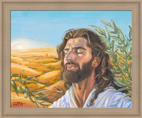 A Prayer for Peace