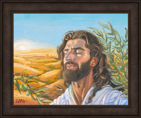 A Prayer for Peace