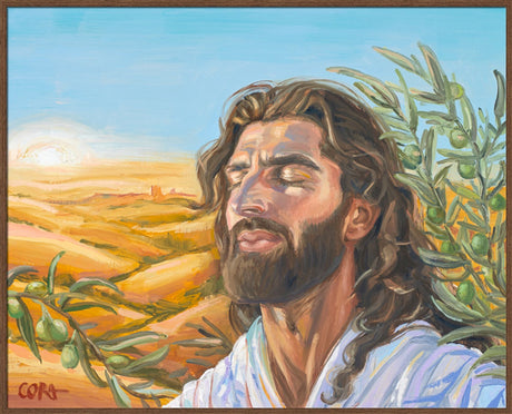 A Prayer for Peace