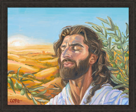 A Prayer for Peace