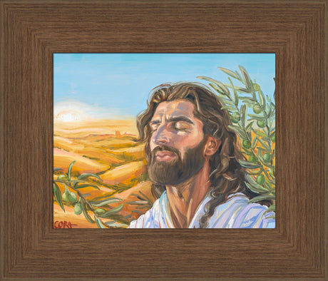 A Prayer for Peace