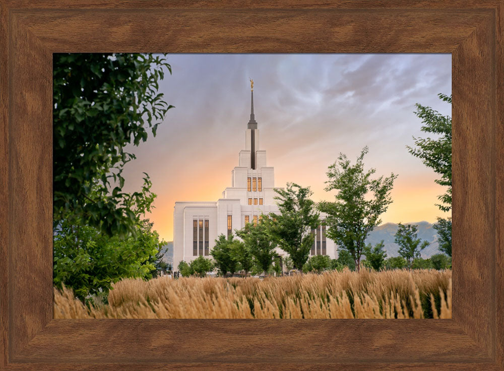Saratoga Springs Utah Temple - Radiance