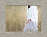 The Gatherer