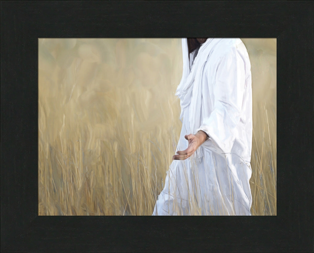 The Gatherer