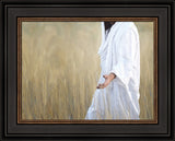 The Gatherer