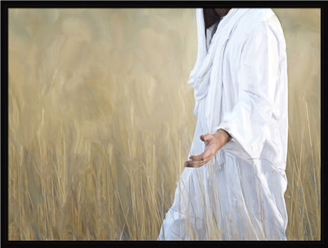 The Gatherer