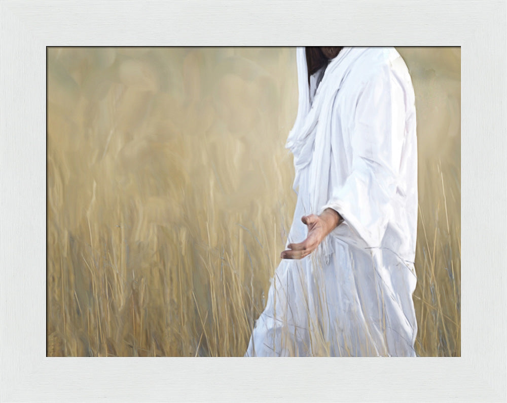 The Gatherer