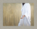 The Gatherer