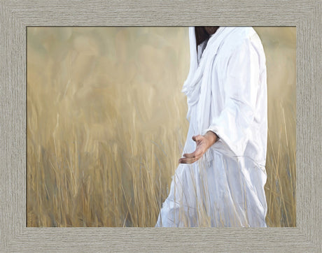 The Gatherer