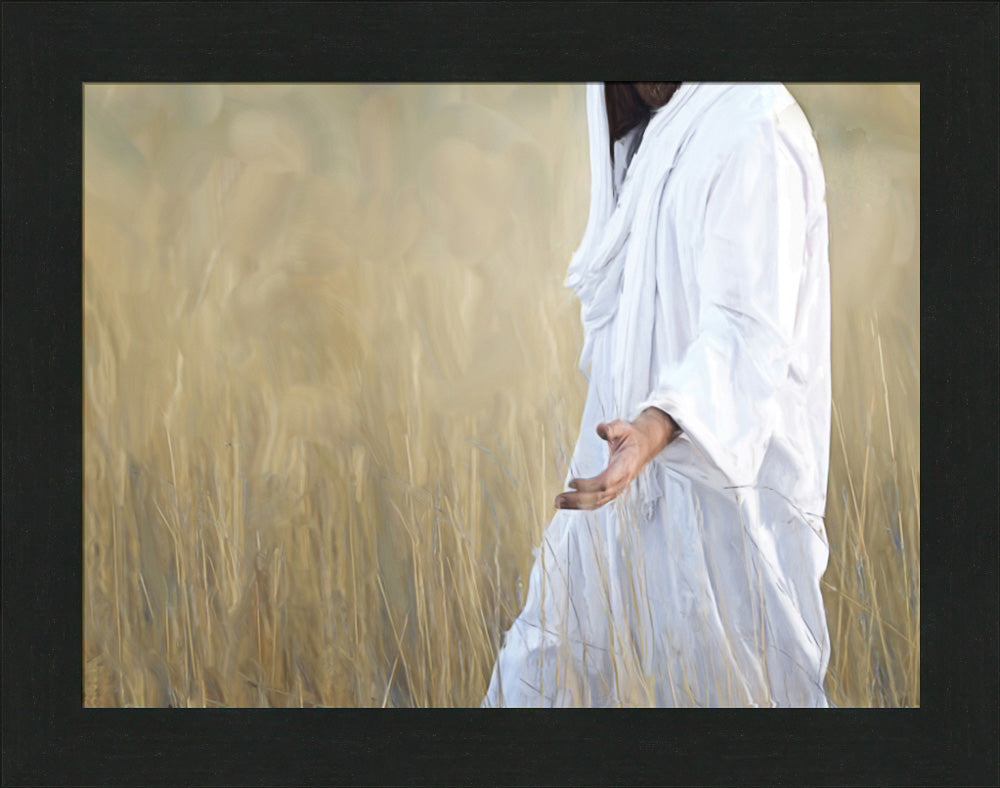 The Gatherer